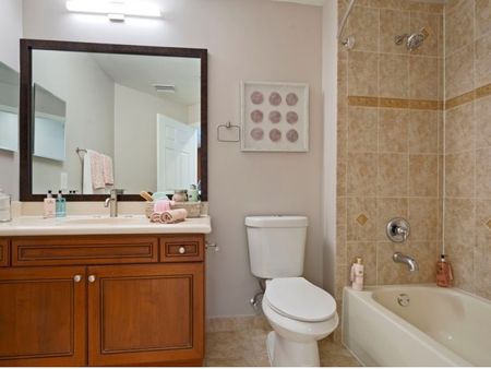 Bathroom with shower tub, toilet, sink with cabinets, and mirror