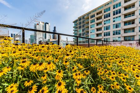 Flowers in the green area with city views