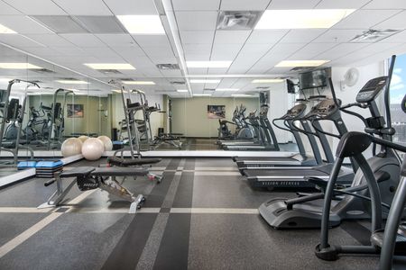 Apartments for Rent Downtown Milwaukee WI - The Moderne Fully Equipped Gym with a Weight Rack, Wall to Wall Mirrors, and Much More