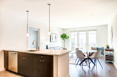 Light Filled Apartments