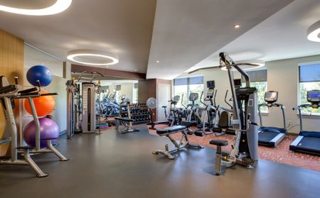 State-of-the-art fitness center with treadmills, stairmasters and elliptical machines in front of windows to the right. Free weights and multi-function equipment in background with colorful stability balls on the left. Large circular lights