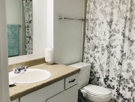 Spacious Bathrooms  | Apartment Homes in Houston, TX | Memorial City