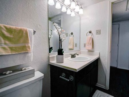 Spacious Bathrooms with a Large Vanity