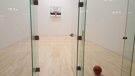 Indoor sport court with basketball net