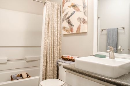 Bellevue West Apartments Modern Bathroom with Designer Sink, Shower Tub, and Elegant Finishes