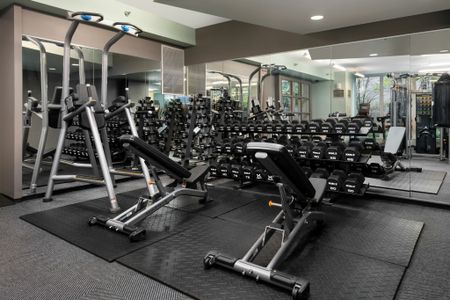 Fitness Club with Free Weights