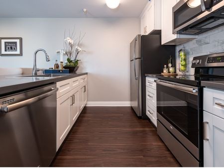 kitchen with stainless steel appliances and wood-inspired plank flooring and quartz countertops at the warwick