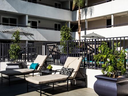set of lounge chairs near the pool at the warwick