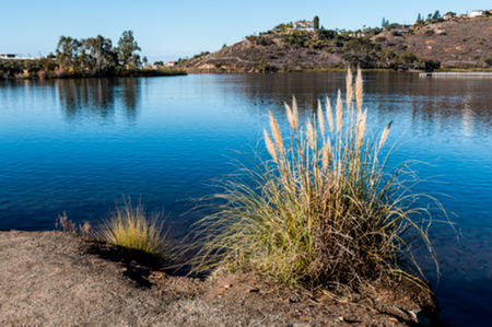 Lake Murray Recreation Area near Trolley Palm Apartments