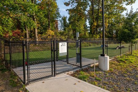 Community Bark Park | West End Yards | Apartments In Portsmouth