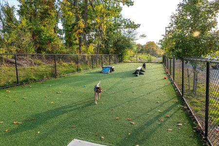 Dogs in bark park at West End Yards | Apartments In Portsmouth, NH