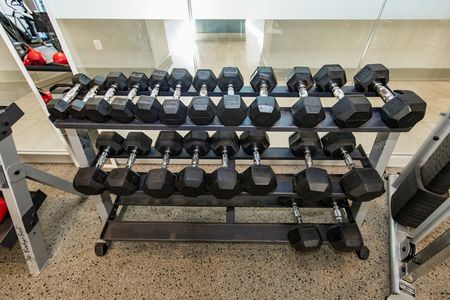 Weights in Community Fitness Center | The Southerly | Apartments in Towson