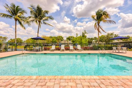 Sparkling Pool | The Coast Townhomes | Apartments in Naples, FL
