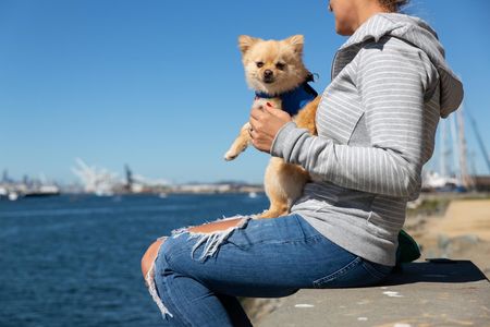 woman on the bay holding Pomeranian