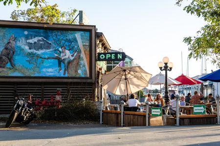 Image of artwork with a wolf howling at the moon