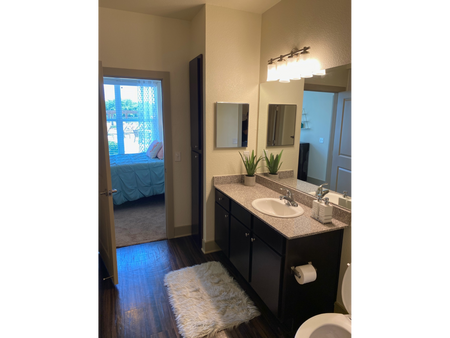 Luxurious Bathroom | Apartments for rent in Waco, TX | Domain at Waco