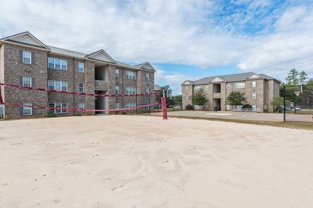 Sanded Volleyball Court and Basketball Court