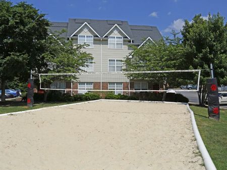Volleyball Court