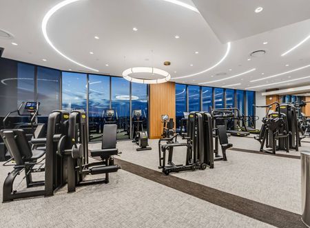 24-hour fitness center with weight machines, treadmills, ellipticals, stationary bikes, a squat rack, a punching bag, medicine balls, and two full walls of windows overlooking the city.