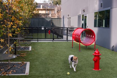 Two grassy fenced dog runs with play structures, fake red fire hydrants, trees, and patio tables and chairs along the fence