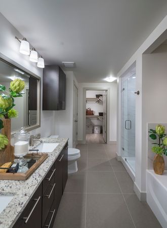 Bathroom with a frameless glass walk-in shower, dual vanity with a granite countertop, and an attached walk-in closet.