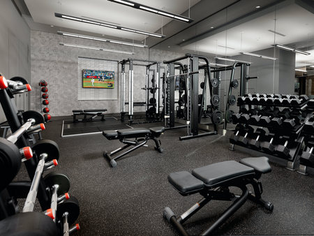 Weight area with dumbbells, barbells, medicine balls, squat rack, power rack, benches, mirror wall, and HDTV.