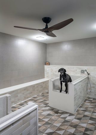 A large black dog in one of two tubs in a pet bathing room featuring faucets with detachable handles, tile floors, and a ceiling fan