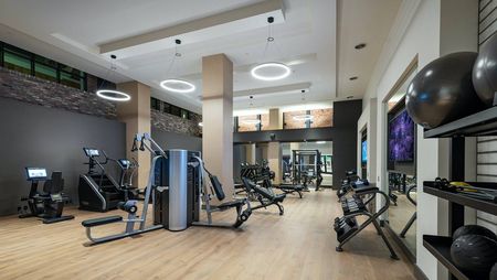 Gym with mirrors, medicine balls, weight machines, cardio equipment, squat racks, dumbbells, and wood-style floors
