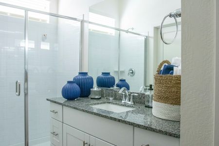 furnished bathroom with shower and sink in home