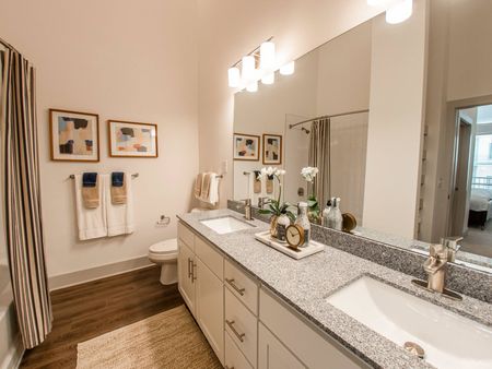 Dual vanity in master bath