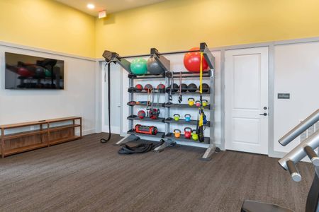 fitness center with trx system