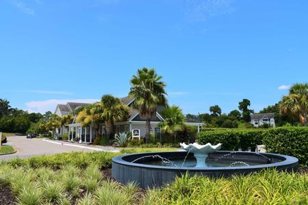 Dog Friendly Apartments in Port Royal SC - Preserve at Port Royal - Fountain with Landscaping and Leasing Office in Background.
