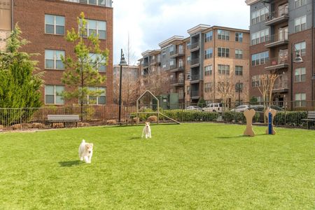 Outdoor grass dog park with 2 dogs playing and apartments in background