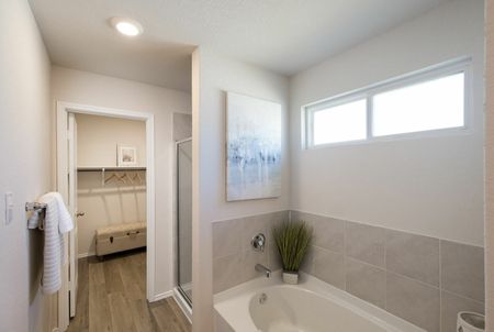 furnished bathroom with closet and tub in home