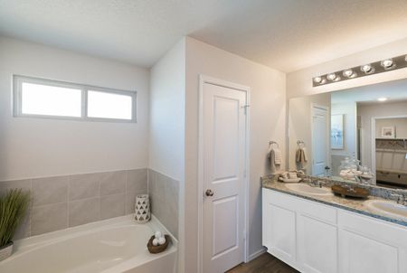 furnished bathroom with tub, counter and closet in home