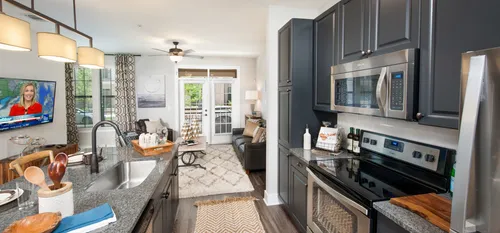 furnished kitchen and living area of apartment