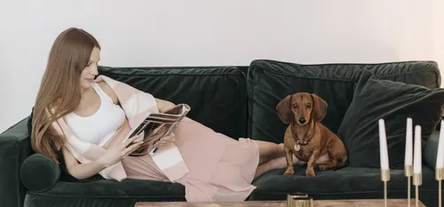 woman reading and sitting on couch with dog