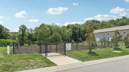 Outdoor fenced in dog park with benches in the daytime