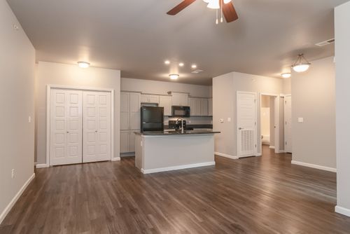 Riley 1 Bedroom Living Room Springfield Missouri Coryell Commons 55 Plus Apartment Home Community