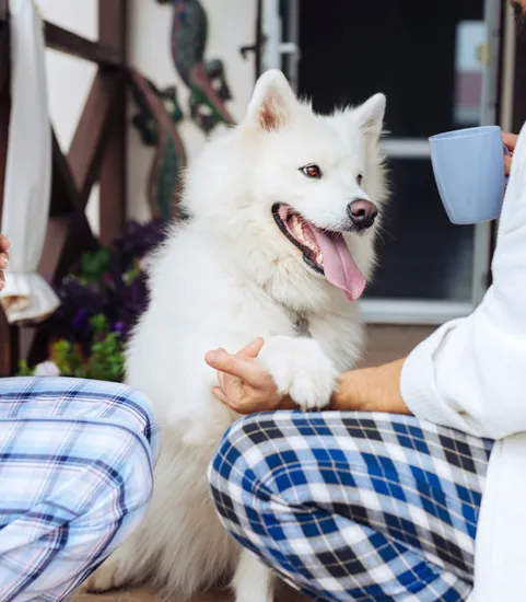 dog with two people