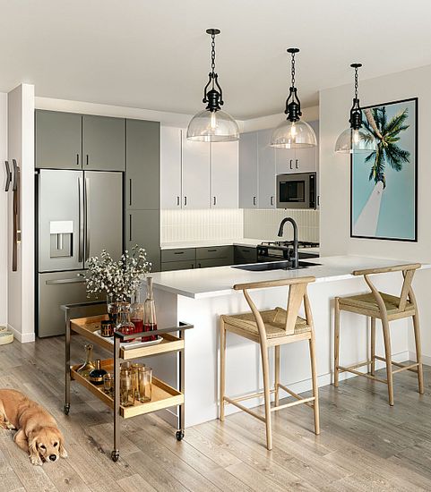 Rendering of the kitchen | pet-friendly