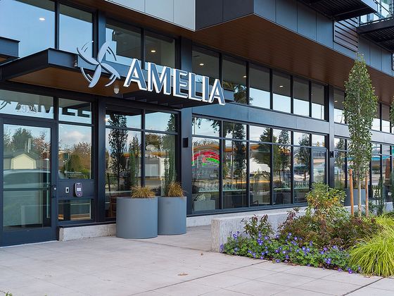 Amelia apartment building entrance with large glass windows, modern signage, and landscaped planters.
