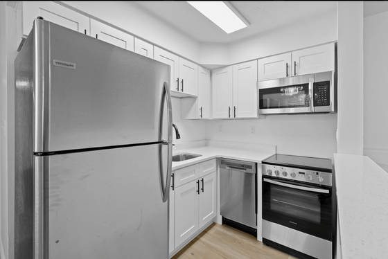 Sleek modern kitchen with stainless steel appliances, crisp white cabinetry, and elegant countertops, perfect for culinary creativity.
