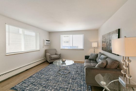 Bright and cozy living room with modern decor, featuring a sleek gray sofa, stylish armchair, and elegant glass coffee table on a chic patterned rug.