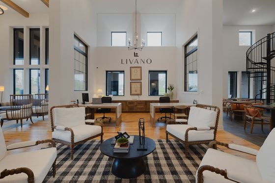 Elegant open-concept lounge with natural light, stylish furniture, and a welcoming ambiance at Livano.
