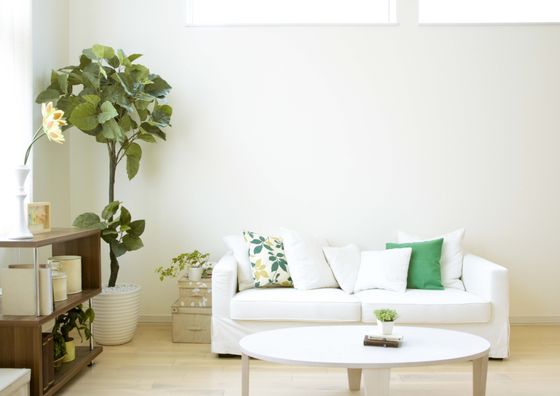 Bright living room with a cozy white sofa, green and patterned pillows, and a potted plant in a minimalist setting.