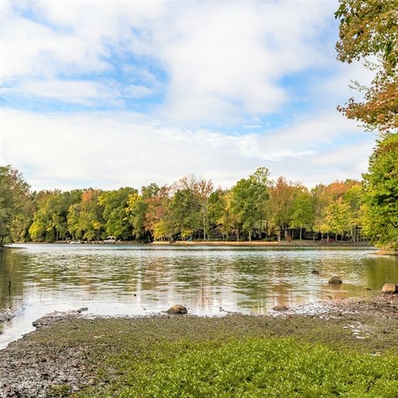 Serene lakeside view with lush green trees and a clear blue sky, perfect for a peaceful getaway.