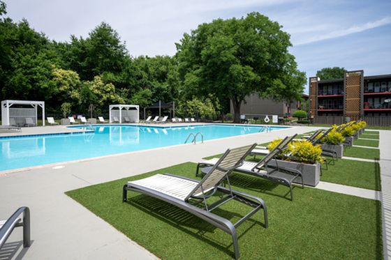 Inviting outdoor pool area with stylish loungers, lush greenery, and serene surroundings, perfect for relaxation and leisure.