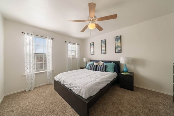 Bright and cozy bedroom with modern decor, featuring a comfortable bed, stylish nightstands, and ample natural light from two large windows.