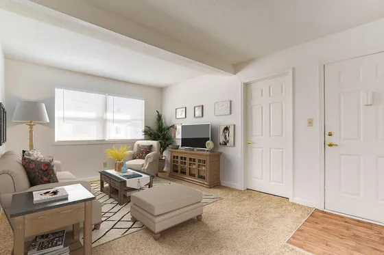 bright apartment living room